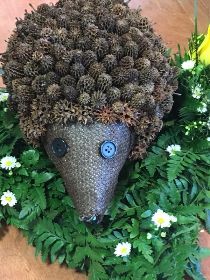 Hedgehog 