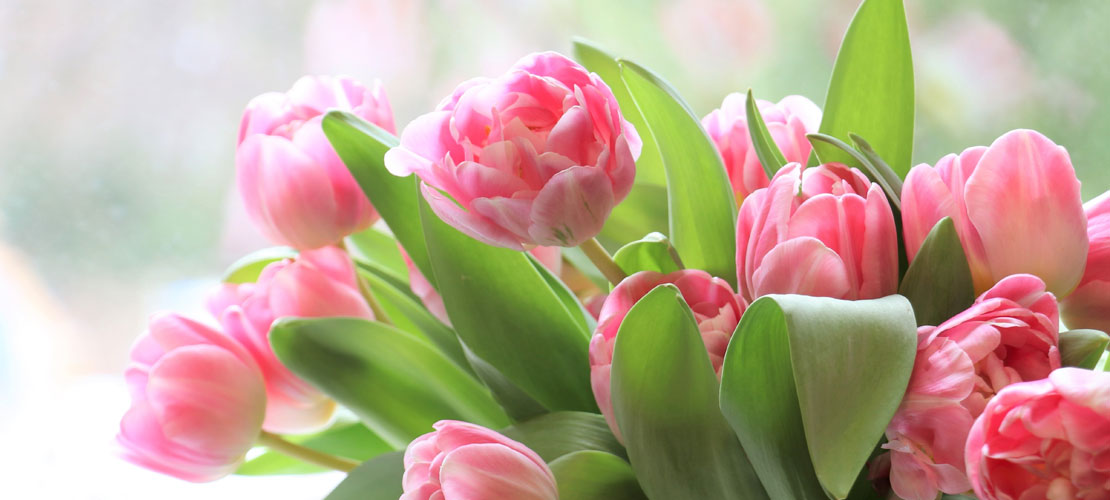 The Green House Florist Durham Flowers Stanley Florist